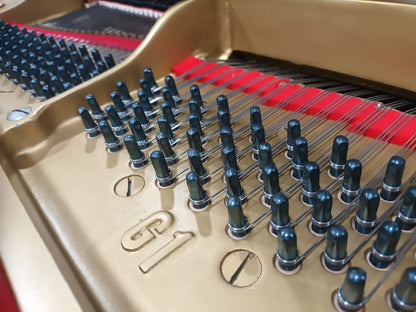 Yamaha G1 (Beginner to Advanced)