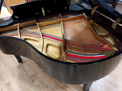 Carlmann (Beginner to Advanced)