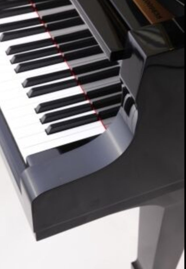 Steinhoven SG148 (Polished Ebony)