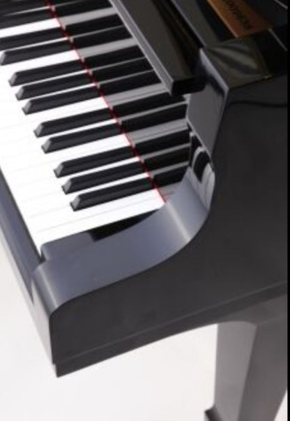 Steinhoven SG148 (Polished Ebony)