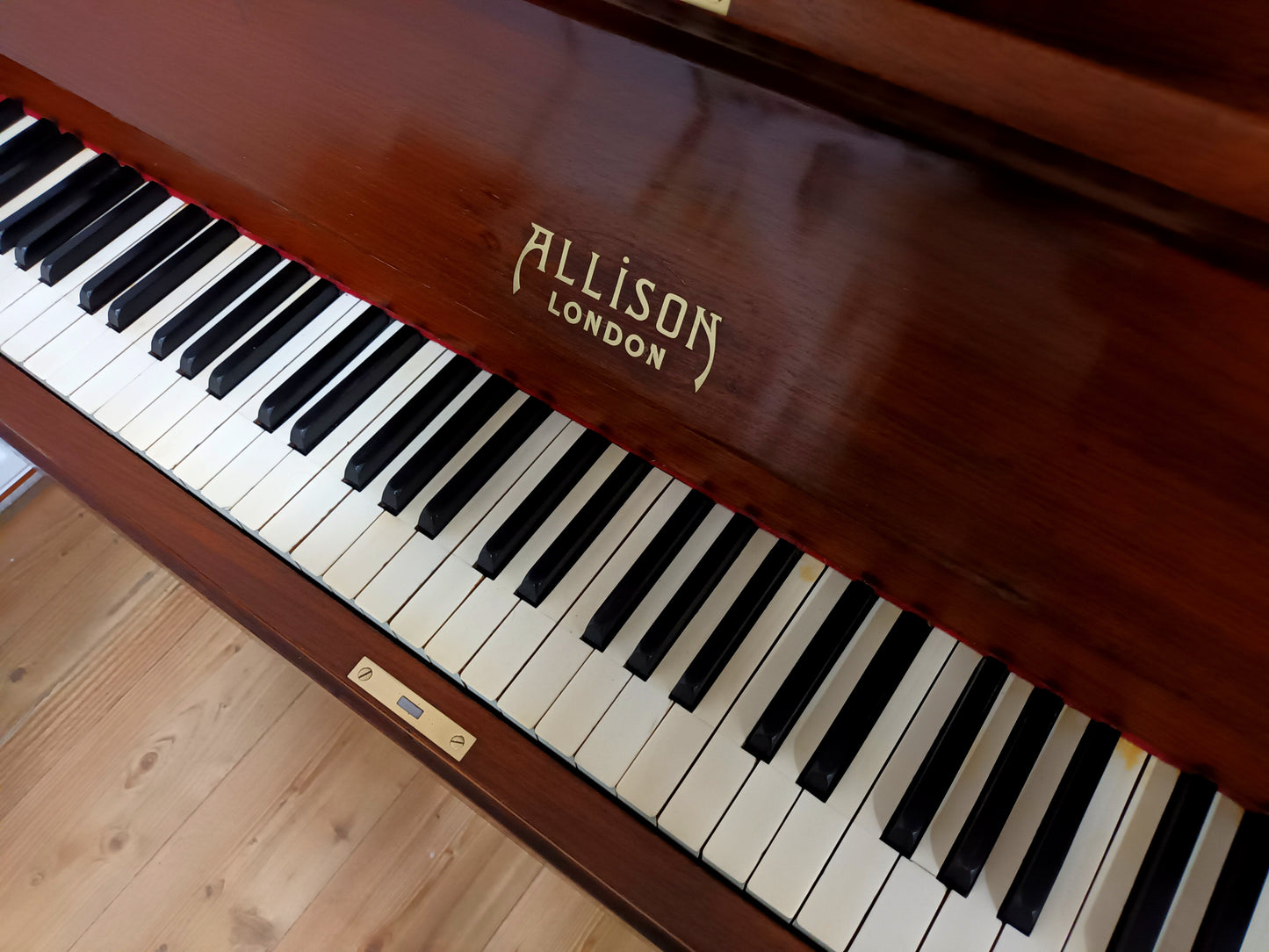 Allison (Beginner/Intermediate)