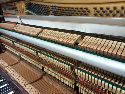 Kawai BL61 with Silent System