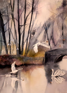 Original Watercolour Painting of Swans in Marlay Park, Rathfarnham, Dublin, Ireland, by Irish Artist Cathal O'Briain. Free P&P with Padded Protection within Ireland.