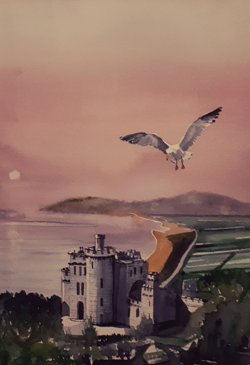 Original Watercolour Painting of Manderley Castle, Killinery, Dublin, by Irish Artist Cathal O'Briain.