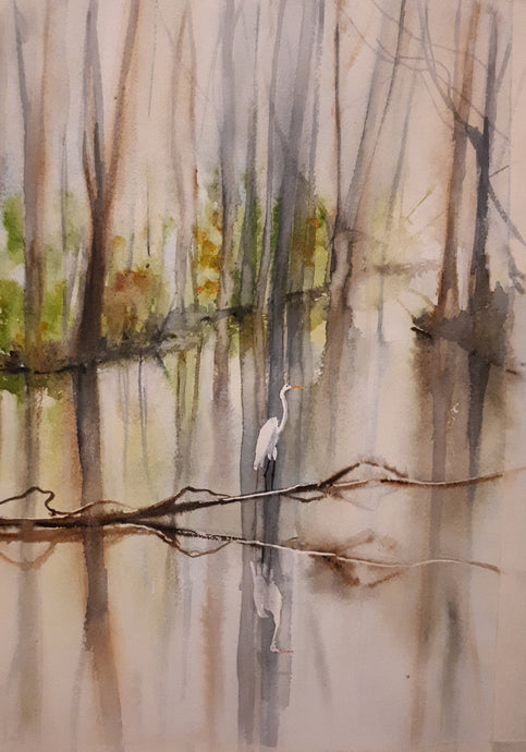 Original Watercolour Painting of Swans in Marlay Park, Rathfarnham, Dublin, Ireland, by Irish Artist Cathal O'Briain.