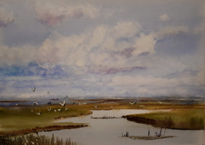 Leitrim Wetlands (SOLD)