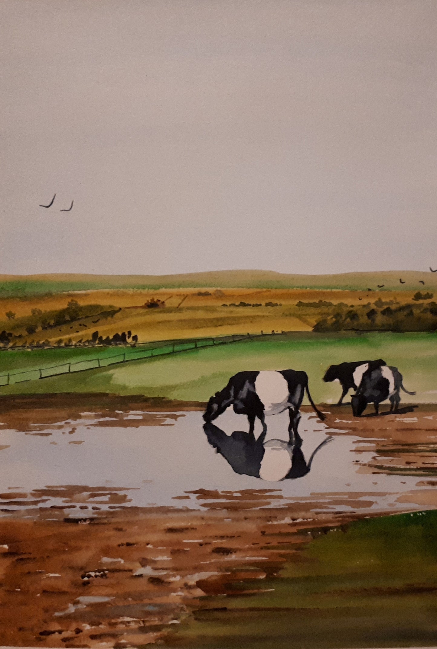 Leitrim Wetlands (SOLD)