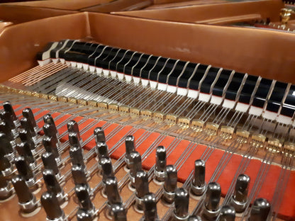 New Danemann DG-158