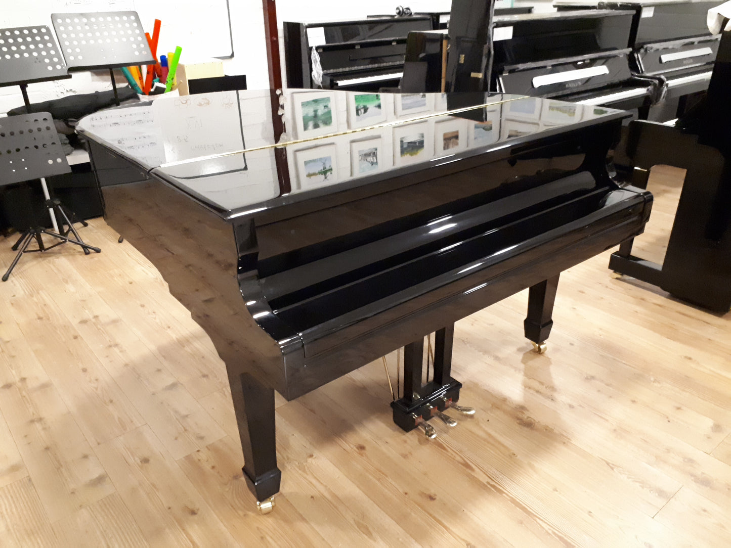 New Danemann DG-158