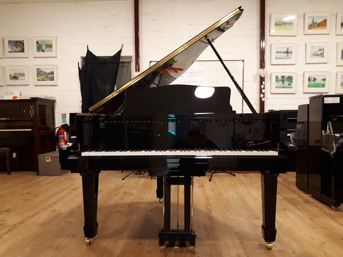 New Danemann DG-158