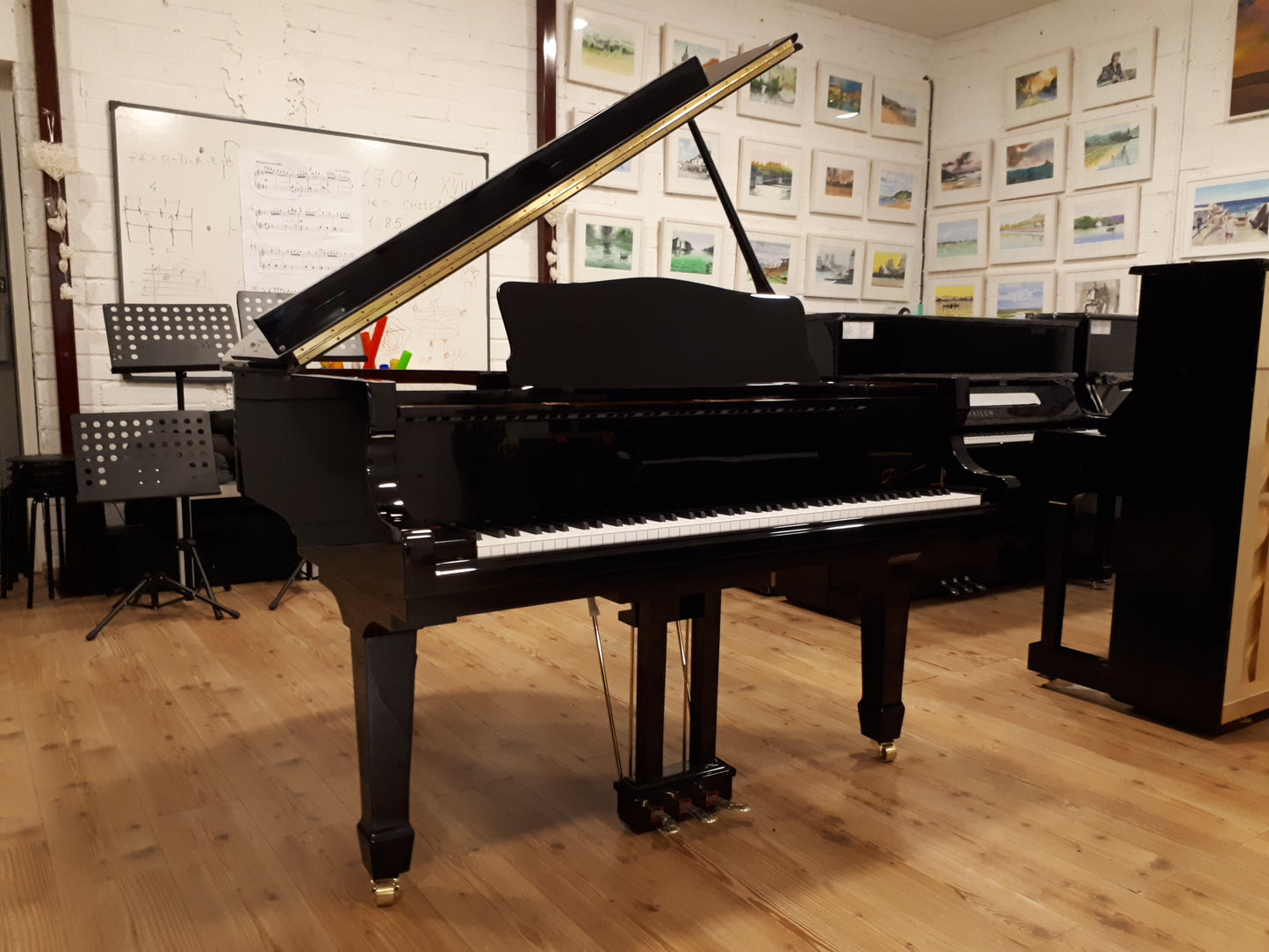 New Danemann DG-158