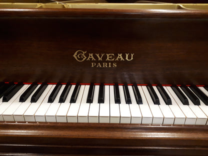 1907 Gaveau (Full Restoration & Rebuild)