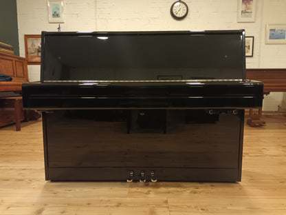 Danemann 110 Silent System piano for sale dublin, ireland