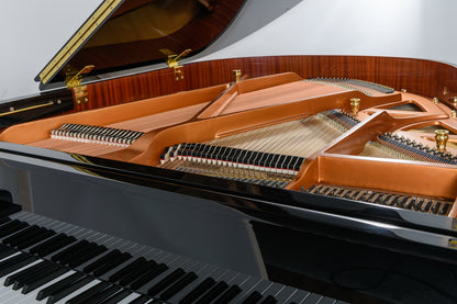 New Danemann DG-158